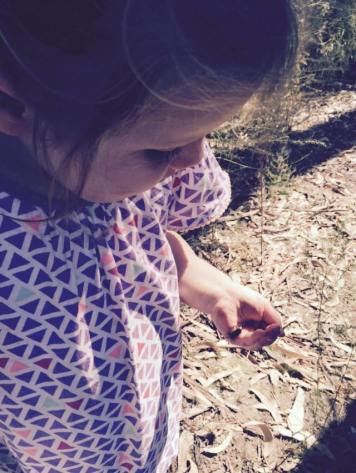 11146035_10153937792051808_153768160_n