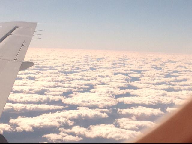 11244717_10154029626481808_7502825016309102413_n