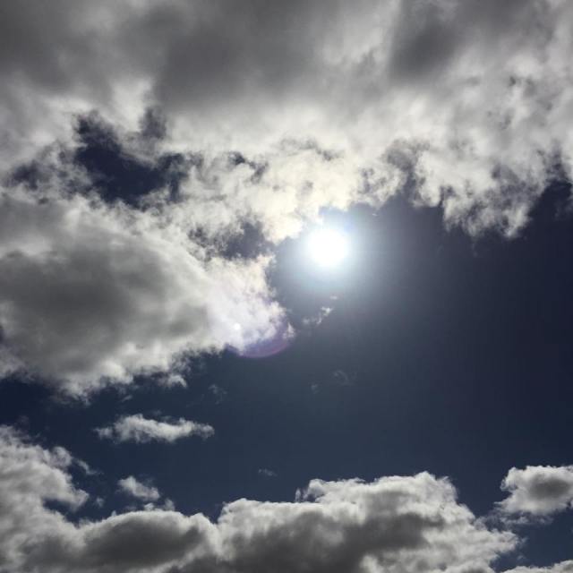 11798289_10154234664921808_1340083051_n