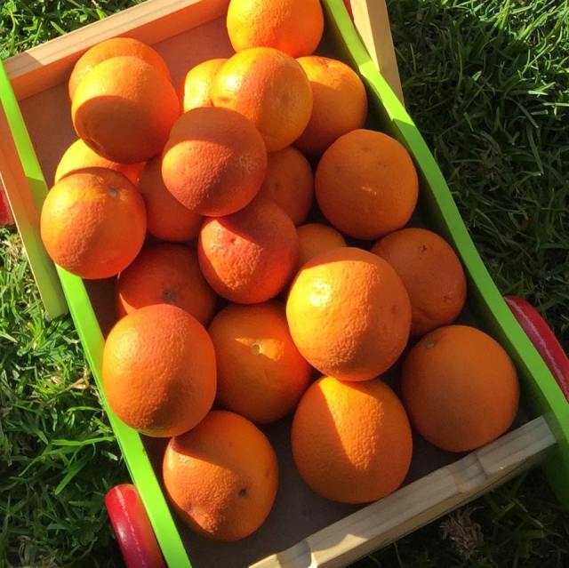 11844150_10154253313031808_1509137279_n