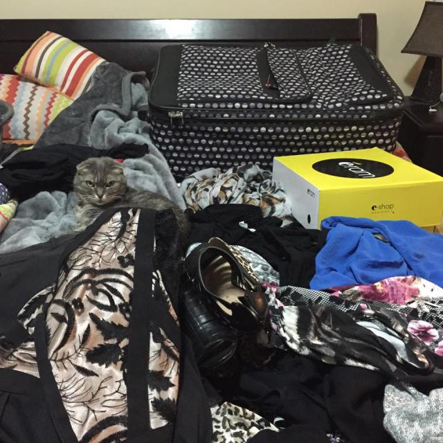 11872855_10154276498821808_1519523913_n