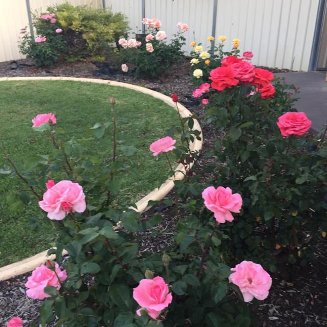 12071608_10154392403526808_645336677_n