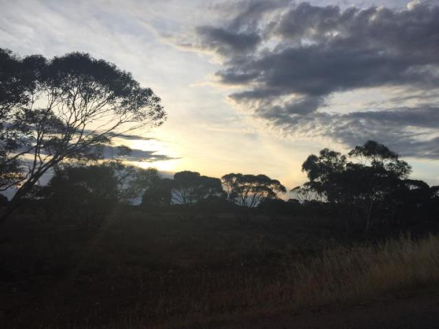 12212000_10154443335066808_644273175_n