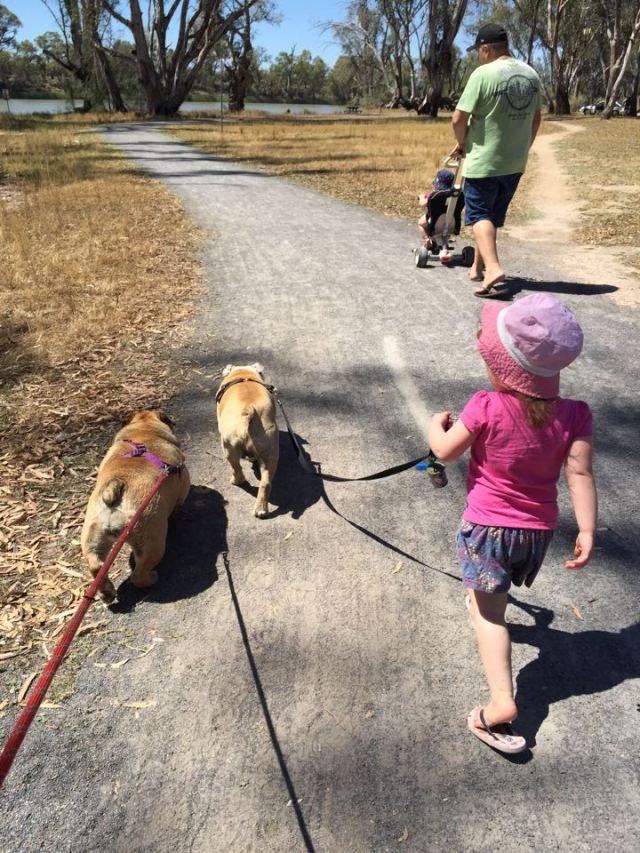 12270175_10154462688806808_1784939744_n