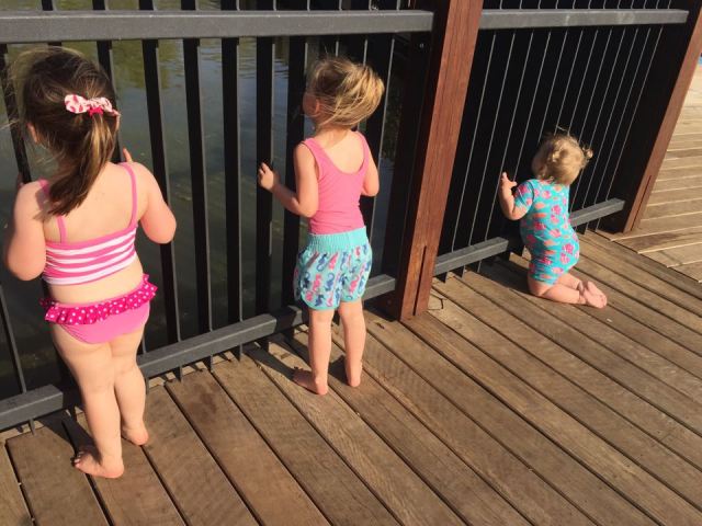 12305889_10154479538796808_46706117_n