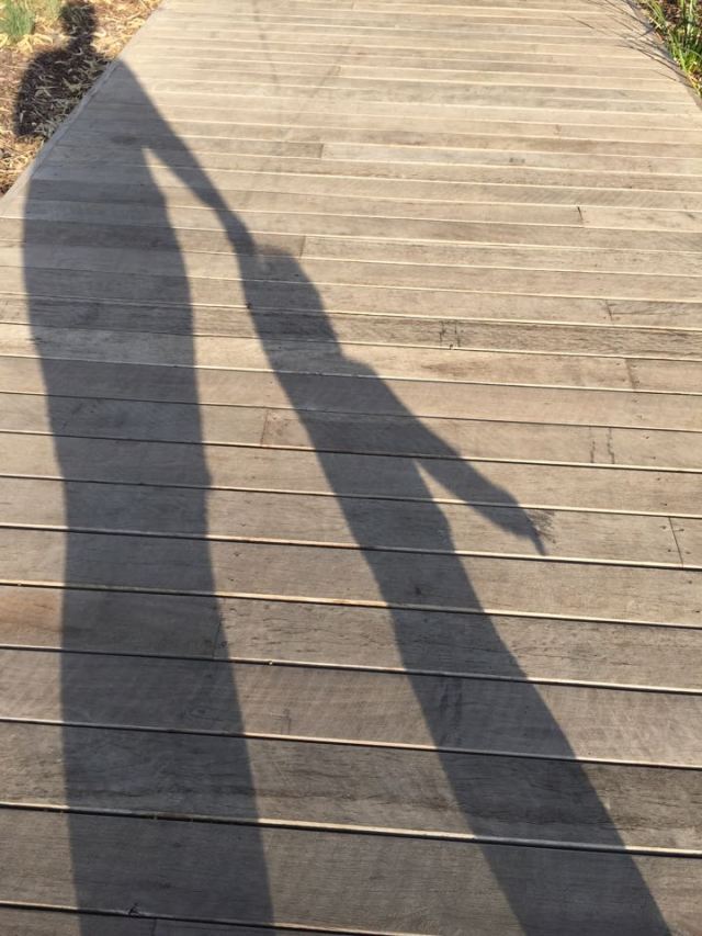 12305923_10154479538816808_312547568_n