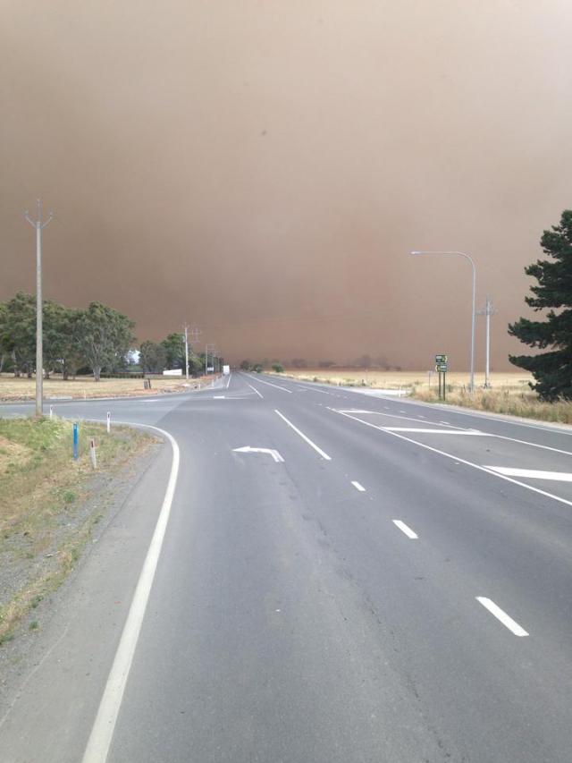 12311094_10153386262388650_7705283973300605028_n