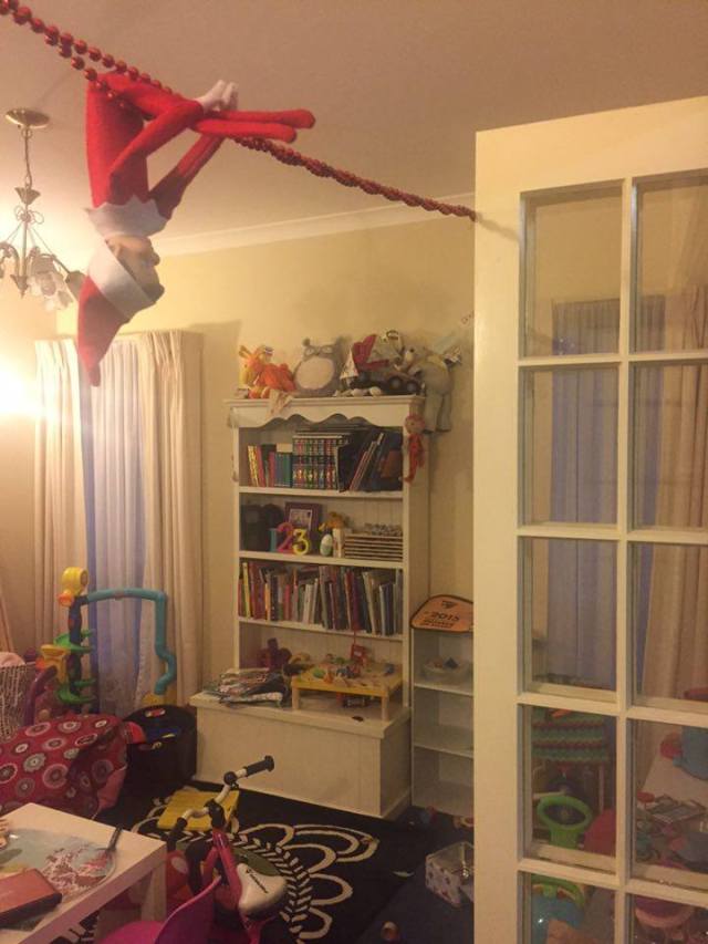 12336198_10154500402221808_331324478_n