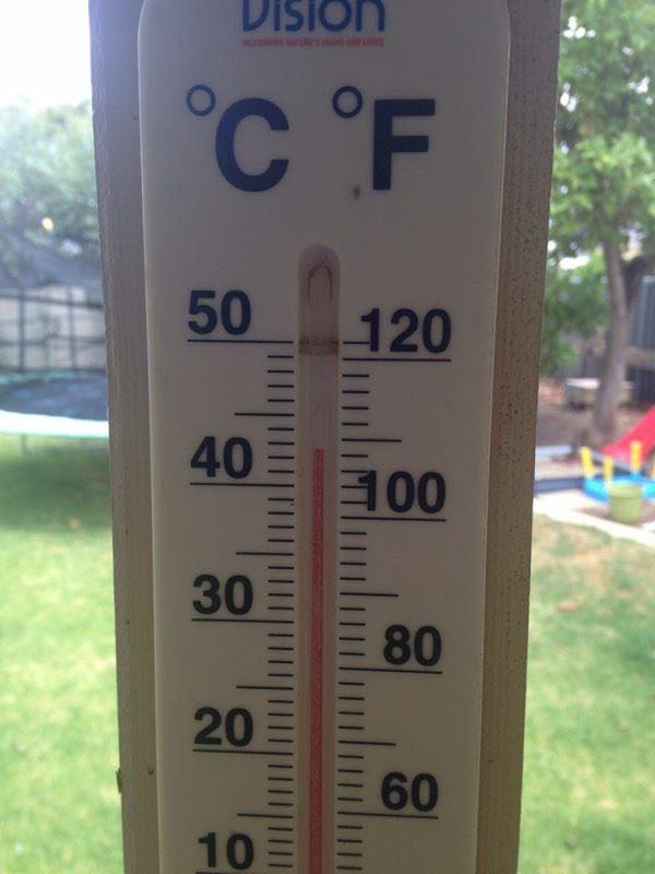 12421469_10154531147891808_1810197781_n