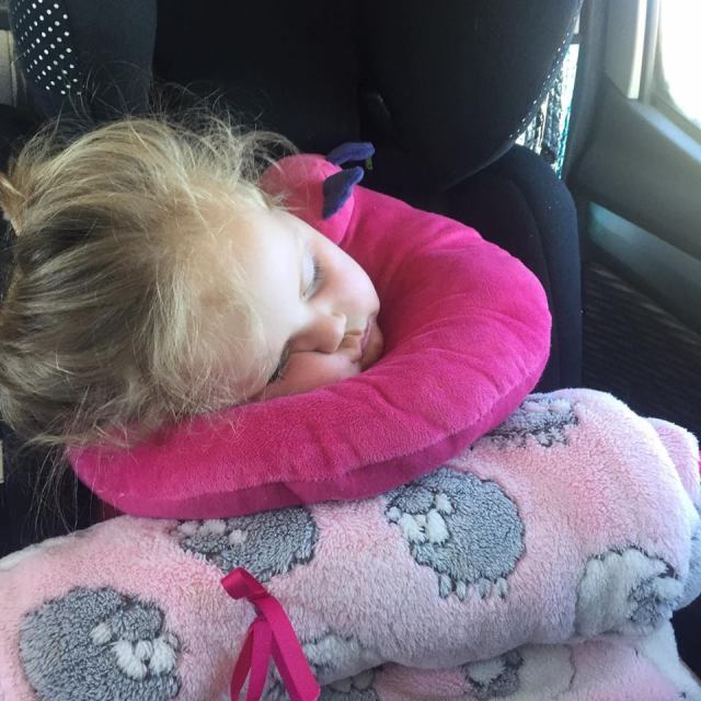 14388931_10155247872131808_881966034_n