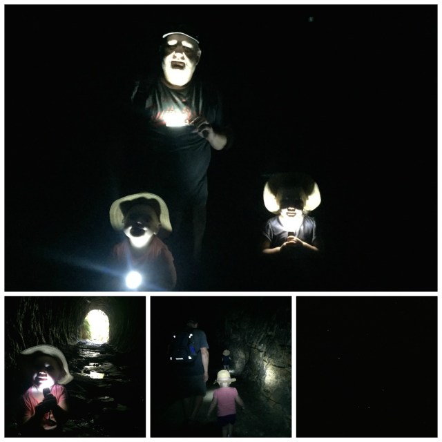 picmonkey-collage16-2